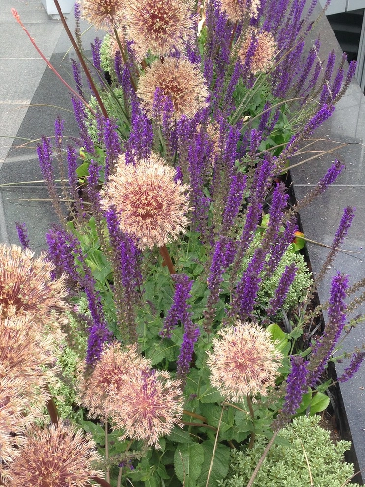 Gardening GaGa - Photo 4