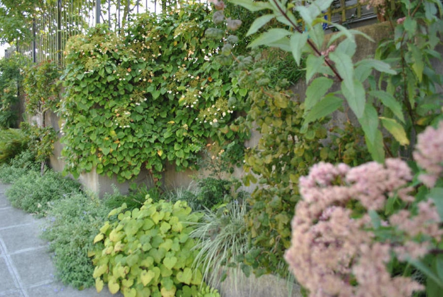 Gardening GaGa - Photo 5