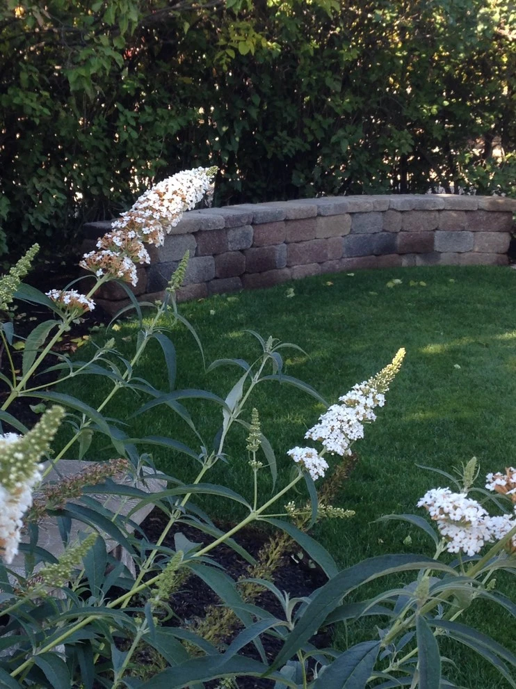 Small Spaces by Diamond Lawns - Photo 5