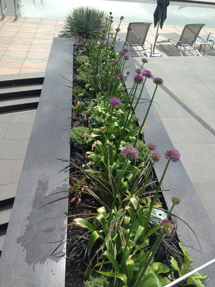 Medina Garden by Gardening GaGa - Photo 8