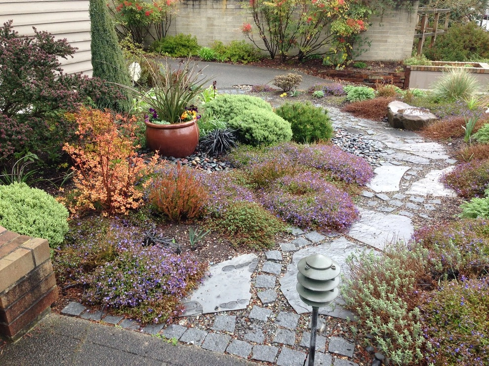 Queen Anne drought tolerant garden by Gardening GaGa - Photo 2