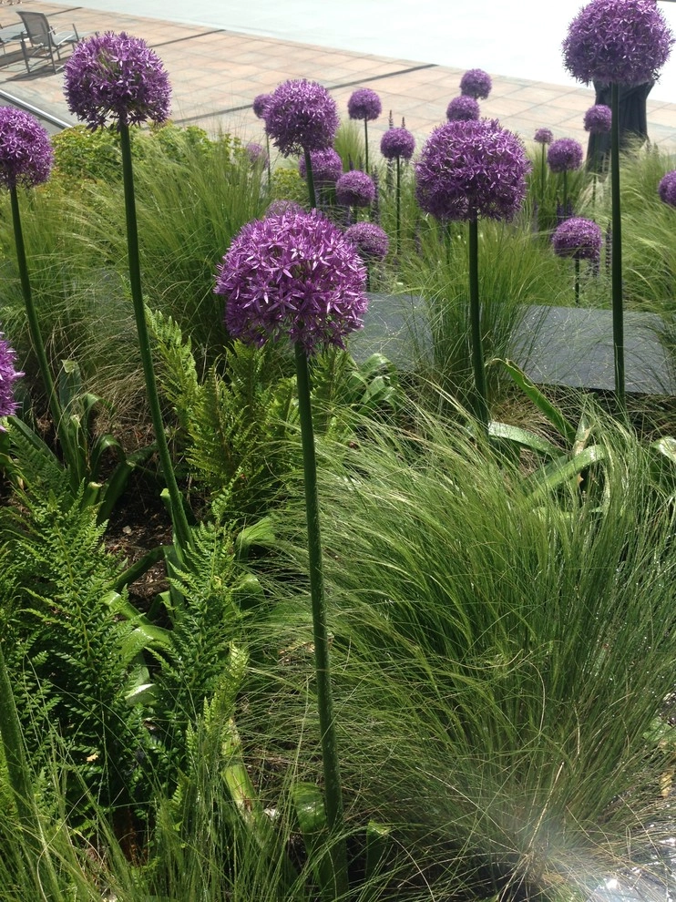 Medina Garden by Gardening GaGa - Photo 5