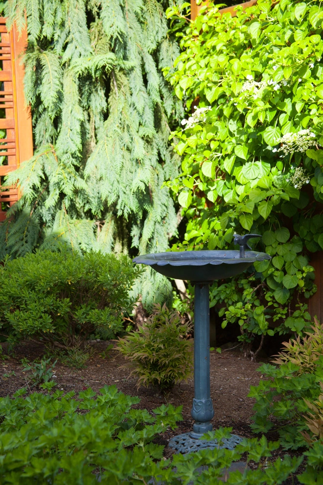 Sandy & Allen's Landscape, Fountain & Containers by Gardens ALIVE Design - Photo 2