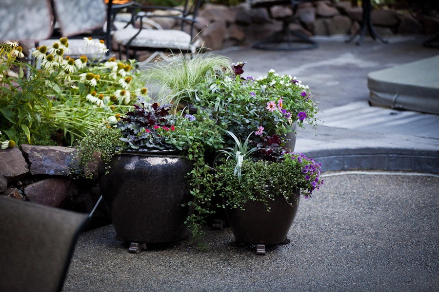 Diane's Patio & Containers by Gardens ALIVE Design - Photo 18