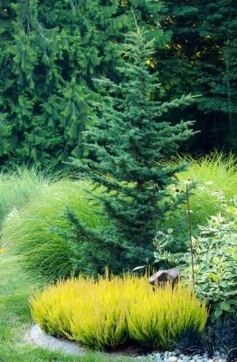 Michelle's Entry Landscape by Gardens ALIVE Design - Photo 3