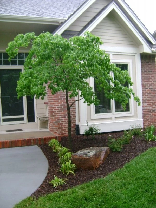 Dirt Clods Landscaping LLC - Photo 3