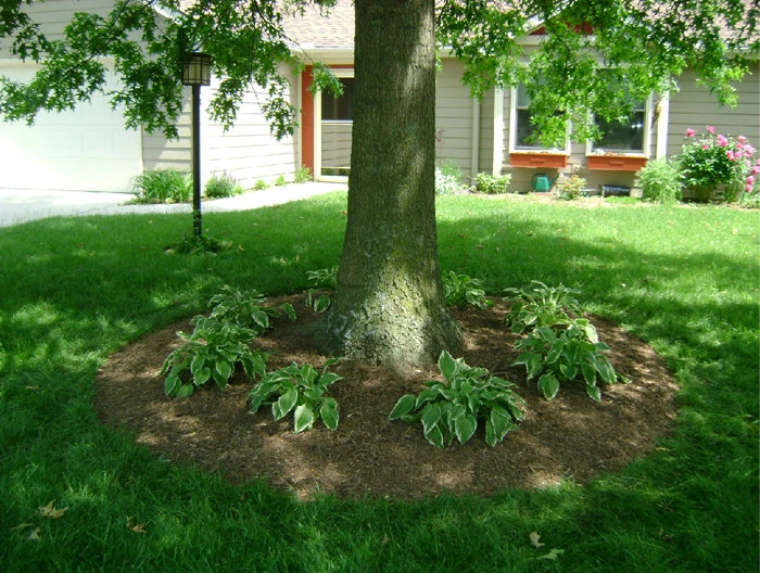 Dirt Clods Landscaping LLC - Photo 11