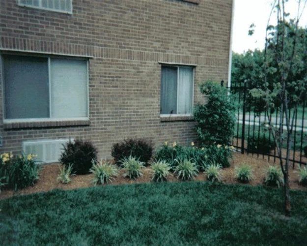 Diversity LawnCare Inc - Photo 3