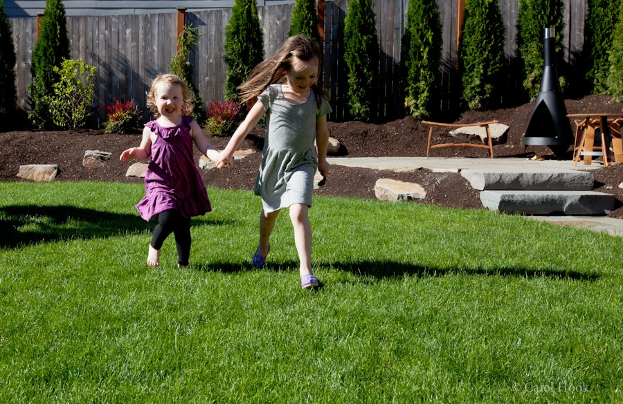 Cathie's Entry & Back Landscape by Gardens ALIVE Design - Photo 12