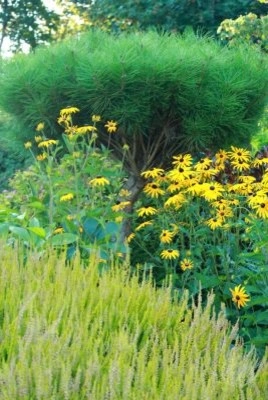 Nicole's Entry Gardens by Gardens ALIVE Design - Photo 14
