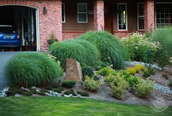 Michelle's Entry Landscape by Gardens ALIVE Design - Photo 11