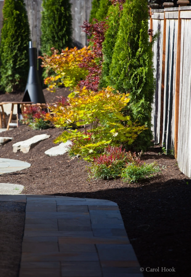 Cathie's Entry & Back Landscape by Gardens ALIVE Design - Photo 14