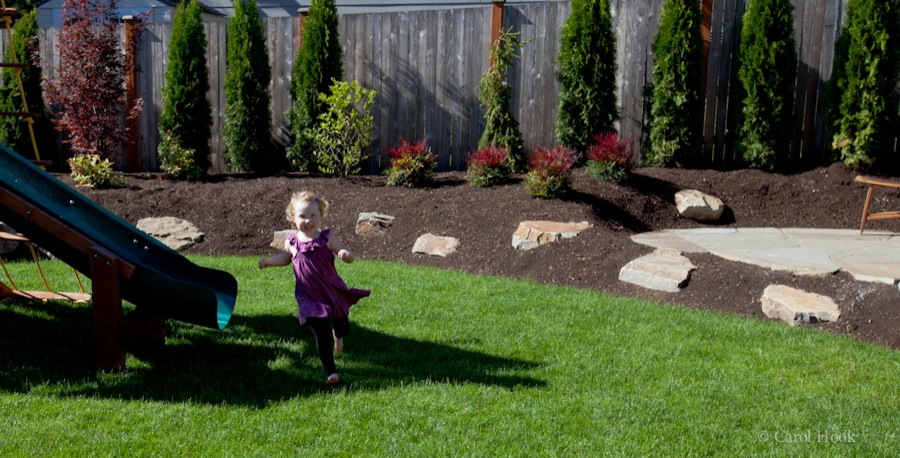 Cathie's Entry & Back Landscape by Gardens ALIVE Design - Photo 10