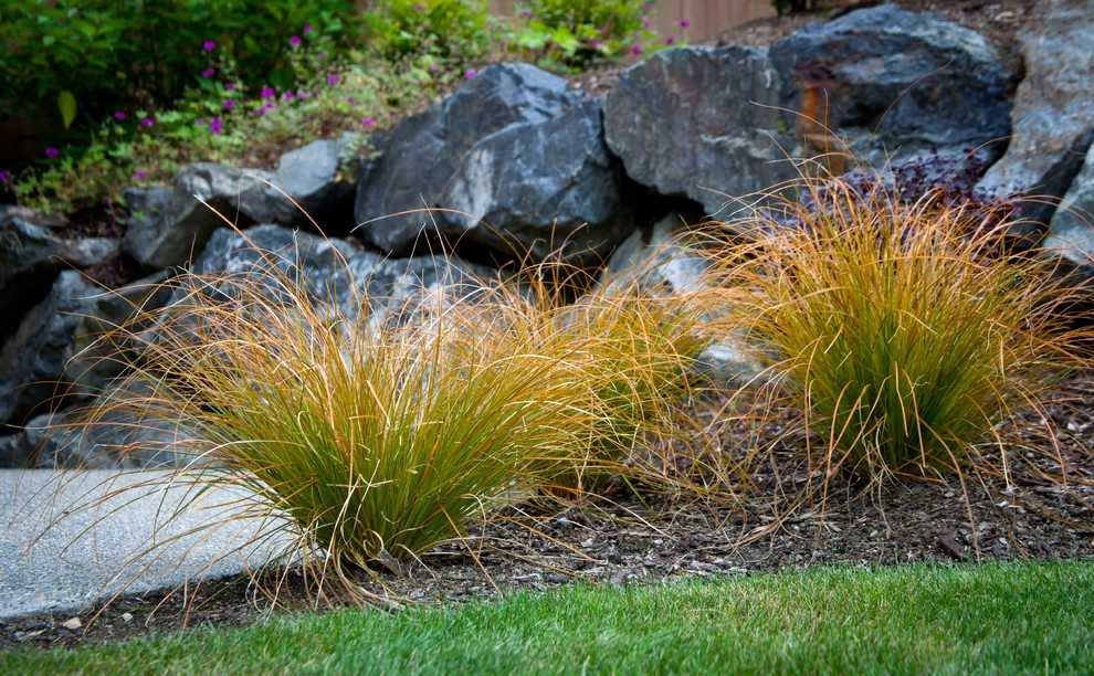 Margie's Entry Landscape by Gardens ALIVE Design - Photo 15