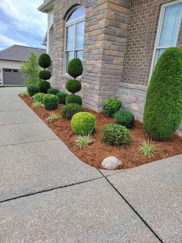 Alberto Alavez Professional Lawn Services LLC 4 by Alberto Alavez Professional Lawn Services LLC - Photo 86