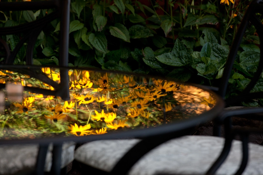 Diane's Patio & Containers by Gardens ALIVE Design - Photo 13