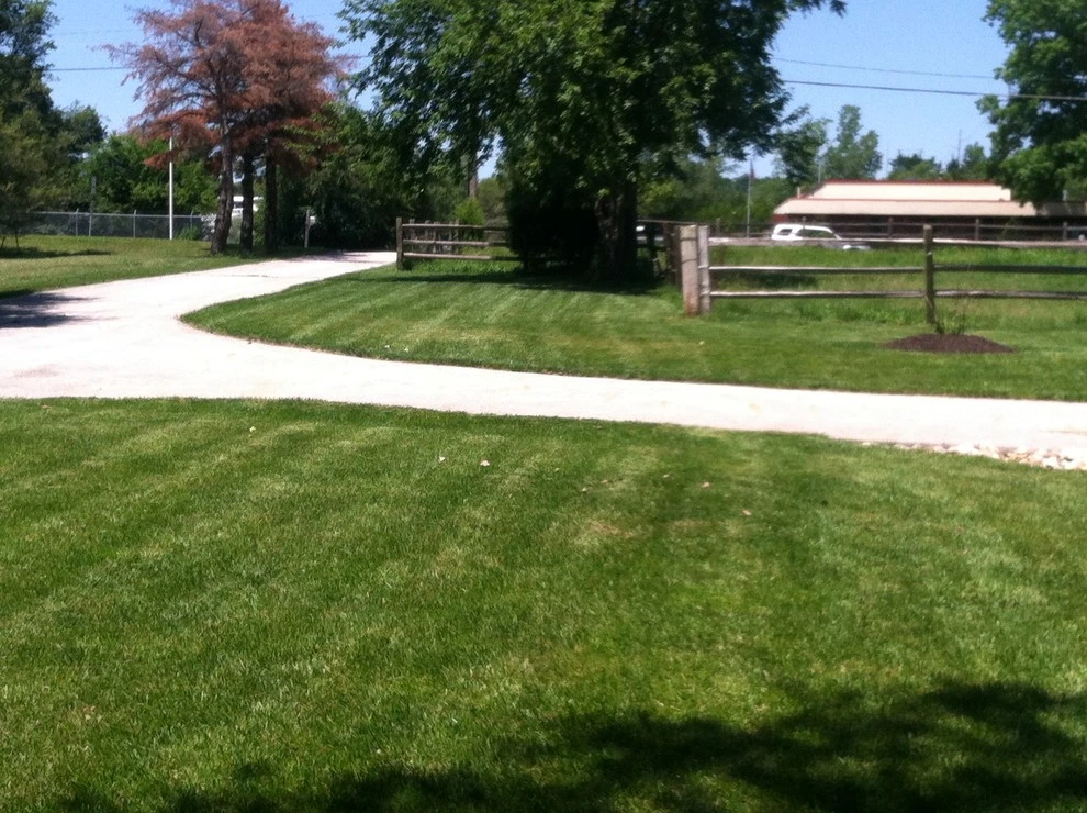 Dr. D Lawn Care - Photo 14