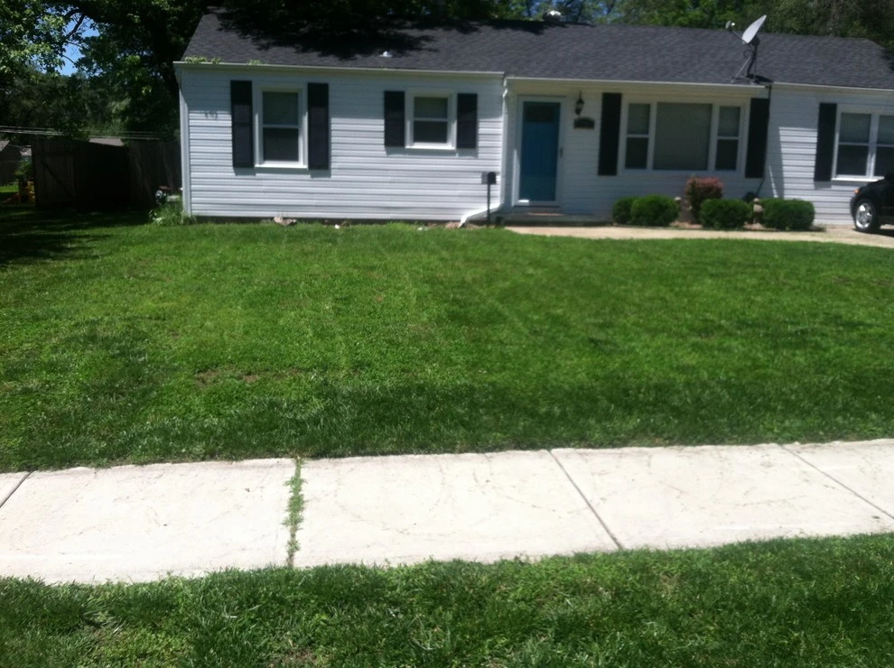 Dr. D Lawn Care - Photo 2