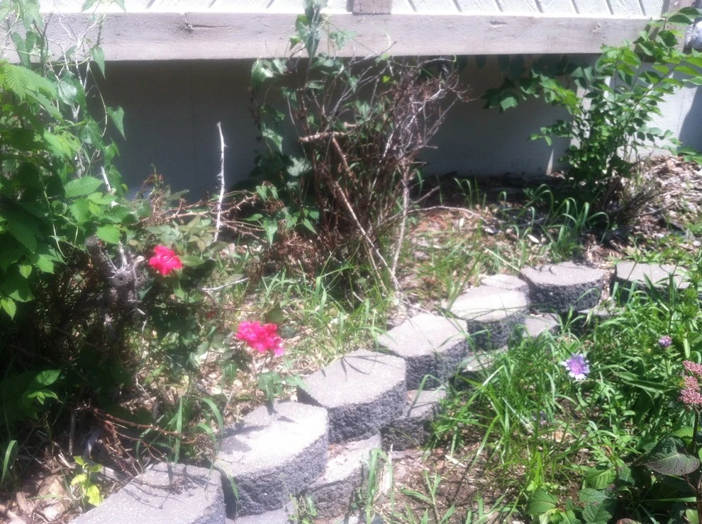 Dr. D Lawn Care - Photo 6