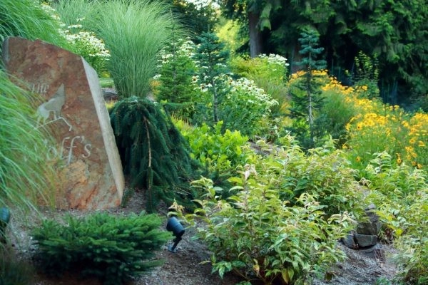 Michelle's Entry Landscape by Gardens ALIVE Design - Photo 12