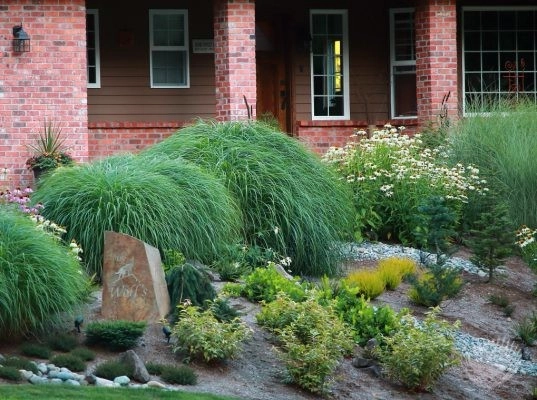Michelle's Entry Landscape by Gardens ALIVE Design - Photo 7