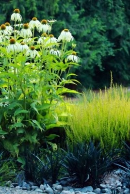 Michelle's Entry Landscape by Gardens ALIVE Design - Photo 4
