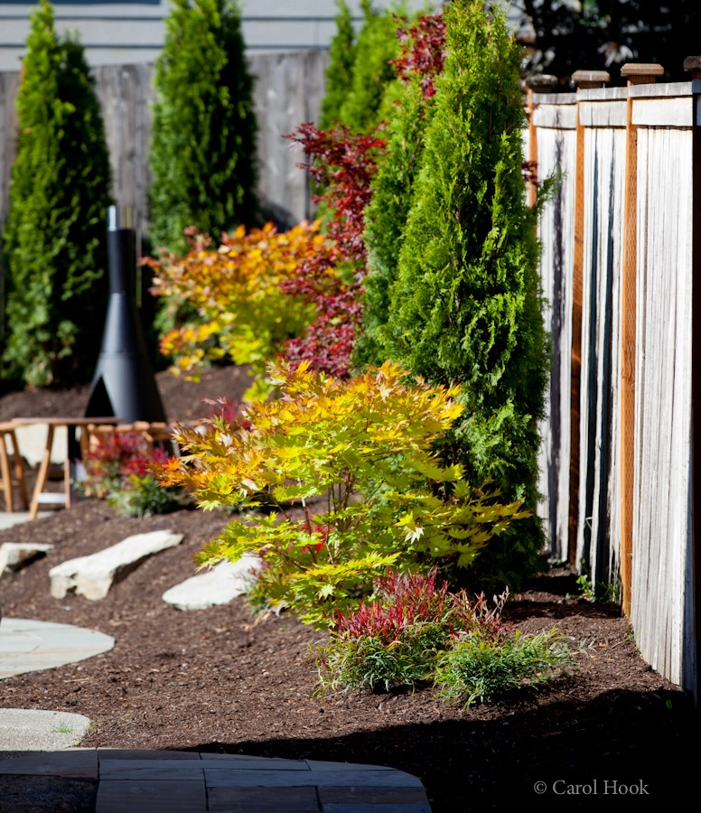 Cathie's Entry & Back Landscape by Gardens ALIVE Design - Photo 16