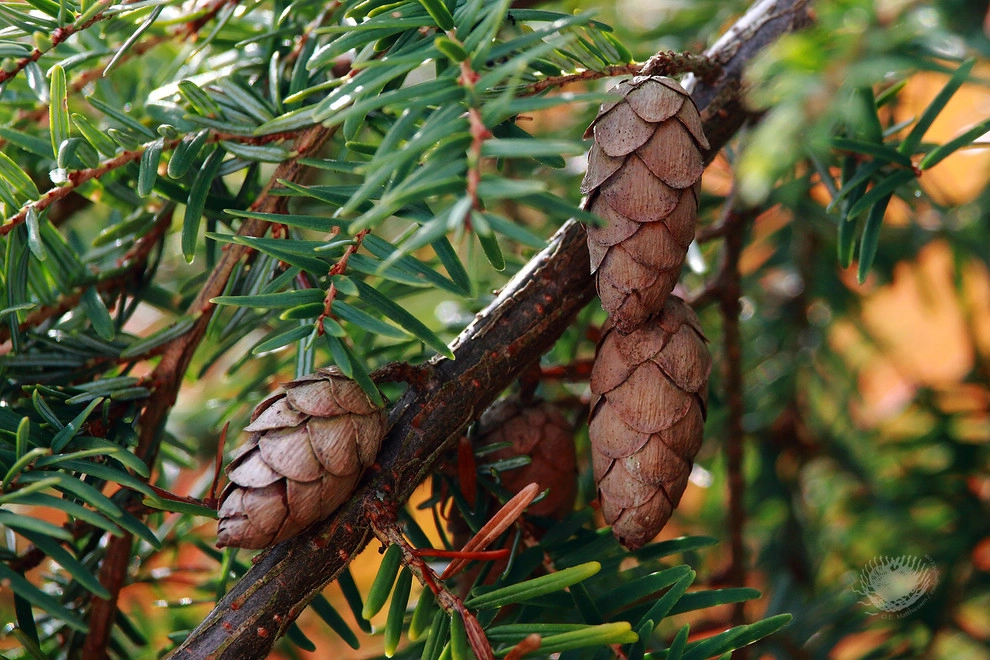 Chuck & Janet's by Gardens ALIVE Design - Photo 3