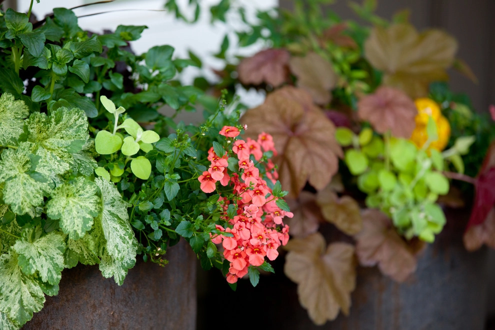 Sandy & Allen's Landscape, Fountain & Containers by Gardens ALIVE Design - Photo 13