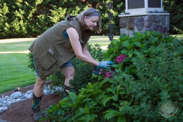 Nicole's Entry Gardens by Gardens ALIVE Design - Photo 20