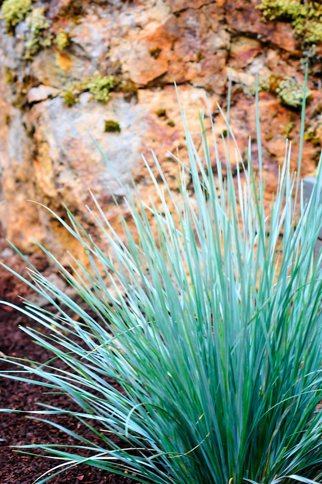 Ed's Artful Entry Landscape by Gardens ALIVE Design - Photo 10