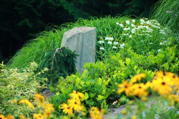 Michelle's Entry Landscape by Gardens ALIVE Design - Photo 2