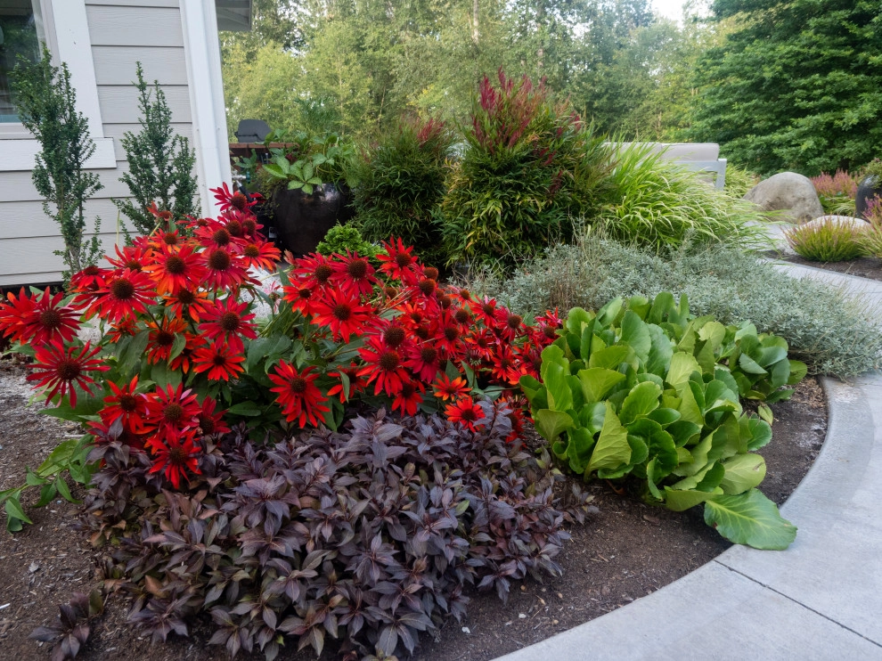 Kirsten's Entry Landscape by Gardens ALIVE Design - Photo 5
