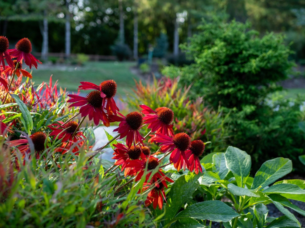 Kirsten's Entry Landscape by Gardens ALIVE Design - Photo 2