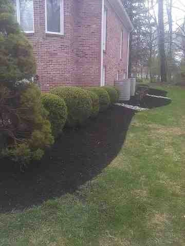 Alberto Alavez Professional Lawn Services LLC 4 by Alberto Alavez Professional Lawn Services LLC - Photo 151