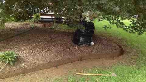 Alberto Alavez Professional Lawn Services LLC 4 by Alberto Alavez Professional Lawn Services LLC - Photo 43