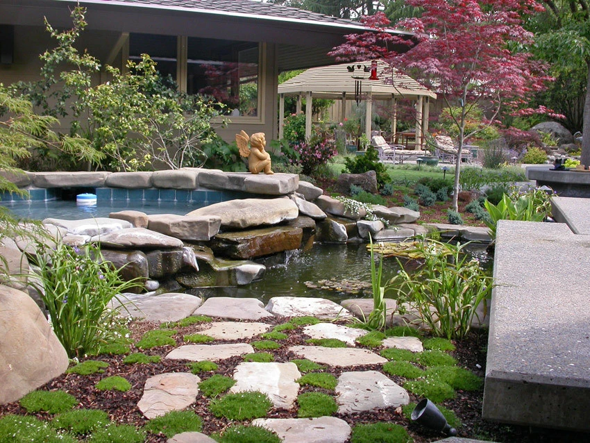 Ecoscape - Photo 6