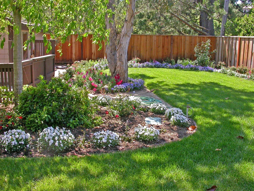 Ecoscape - Photo 3