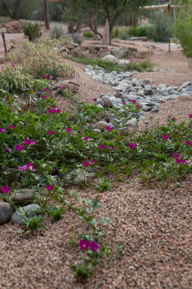 EcoScapes Design by EcoScapesNM - Photo 17