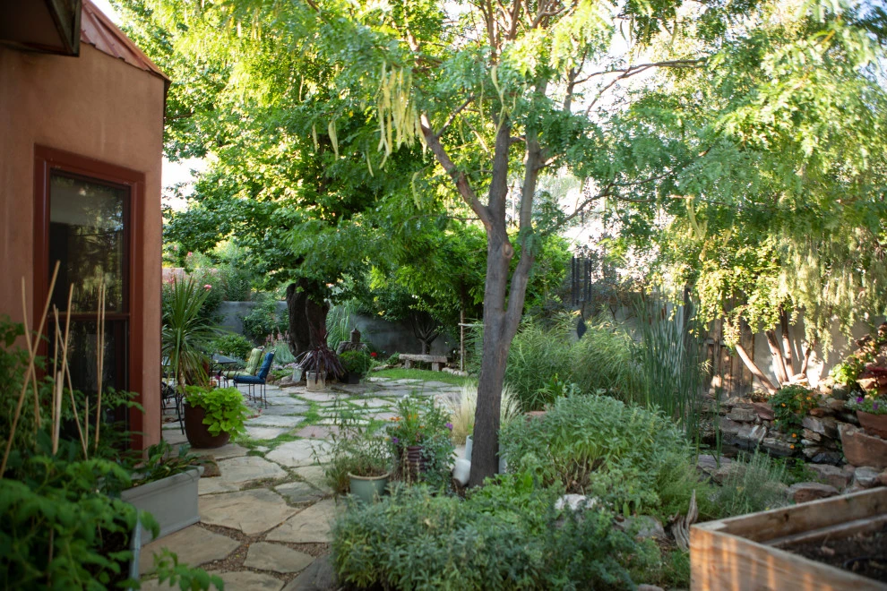 EcoScapes Design by EcoScapesNM - Photo 19