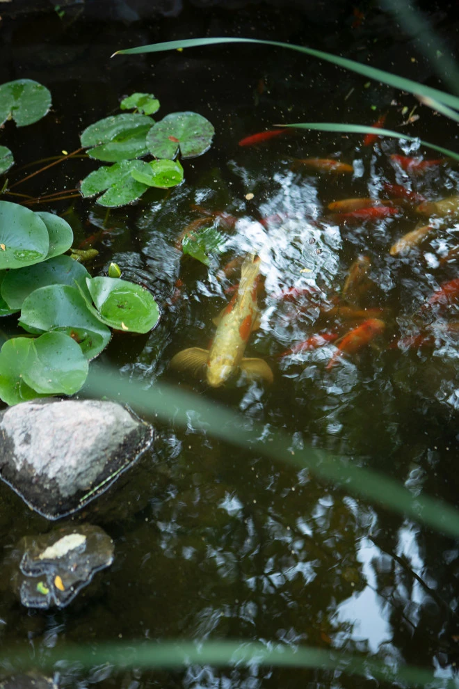 EcoScapesNM - Photo 7