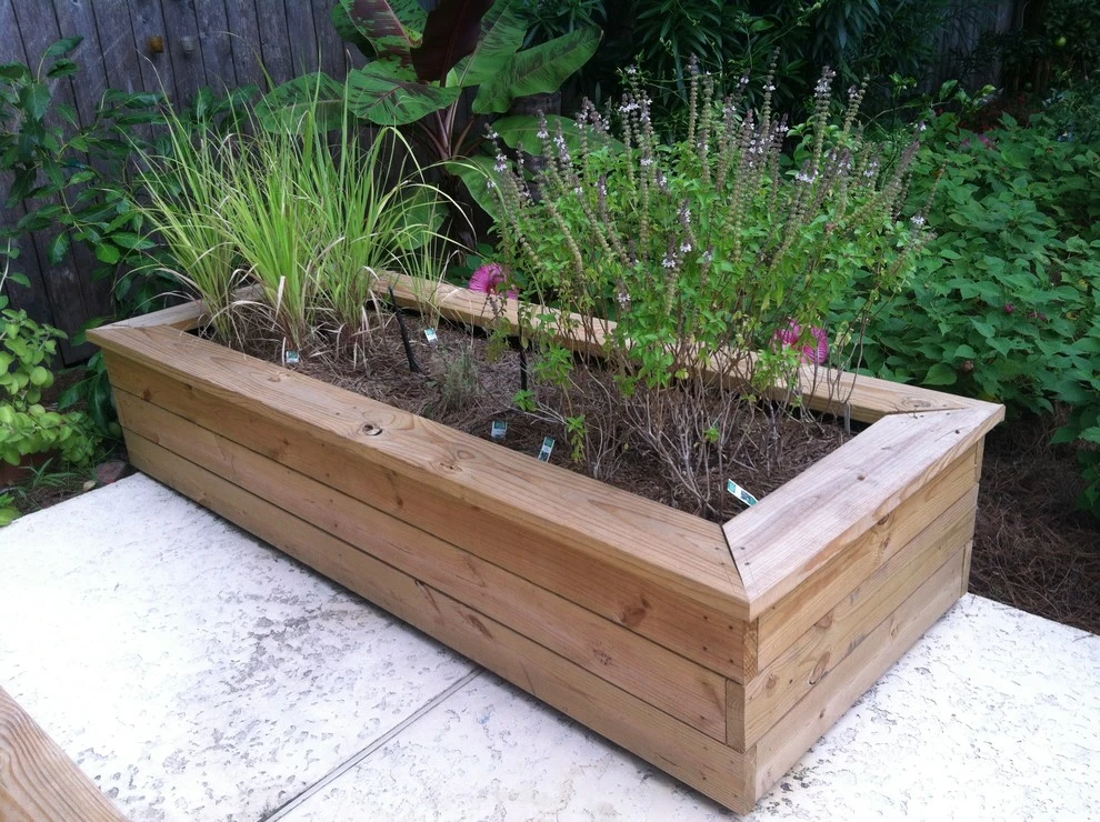 Midcity Tropical by EcoUrban Landscaping - Photo 2