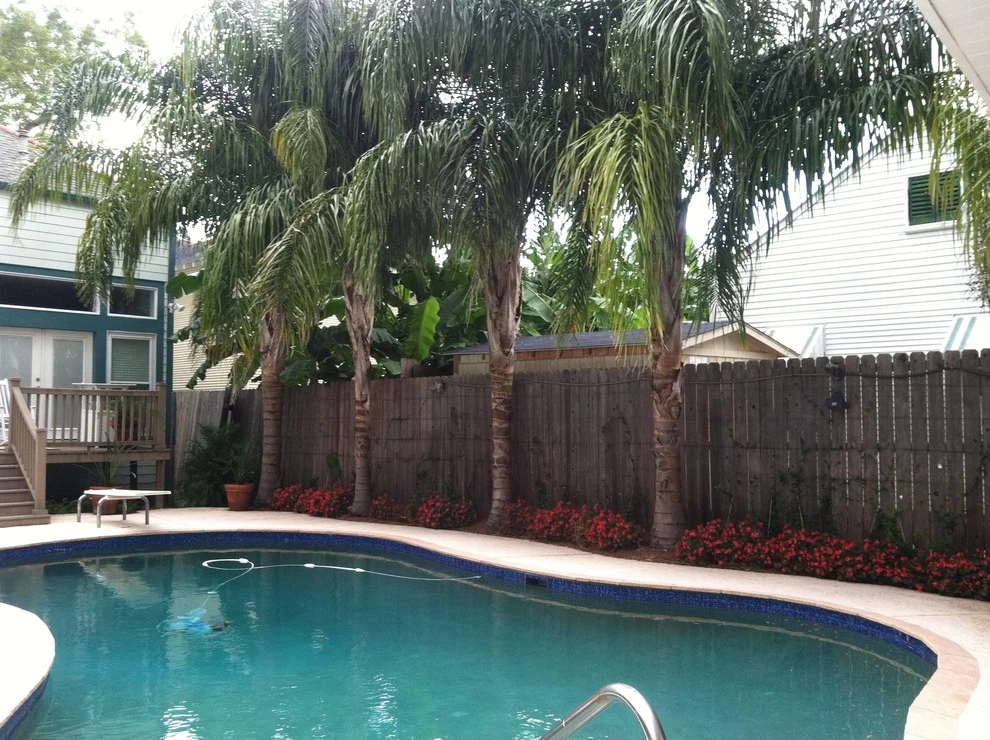 Midcity Tropical by EcoUrban Landscaping - Photo 6