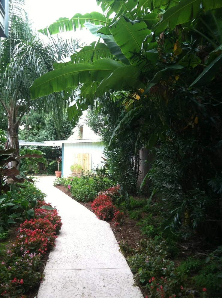 Midcity Tropical by EcoUrban Landscaping - Photo 3