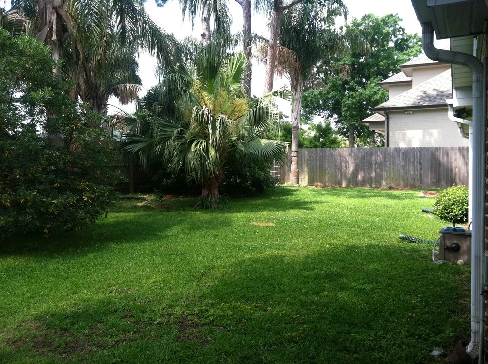 Lakeview Louisiana Understory Landscape by EcoUrban Landscaping - Photo 4
