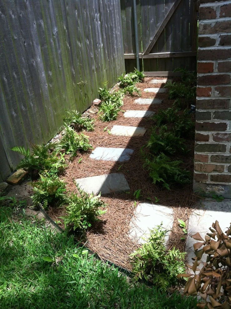 Lakeview Louisiana Understory Landscape by EcoUrban Landscaping - Photo 6