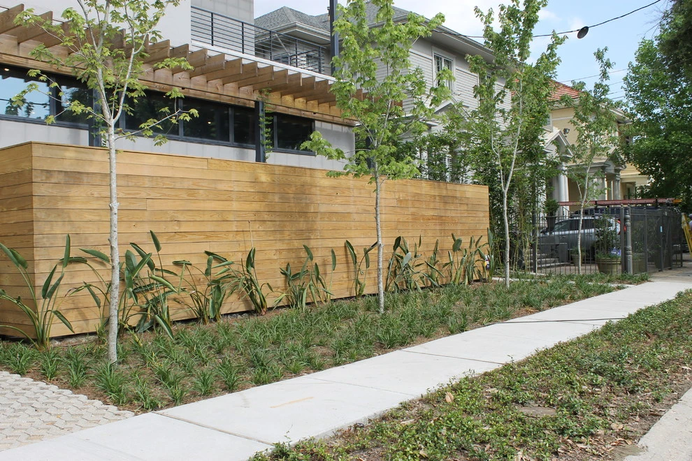 Uptown Tropical by EcoUrban Landscaping - Photo 8