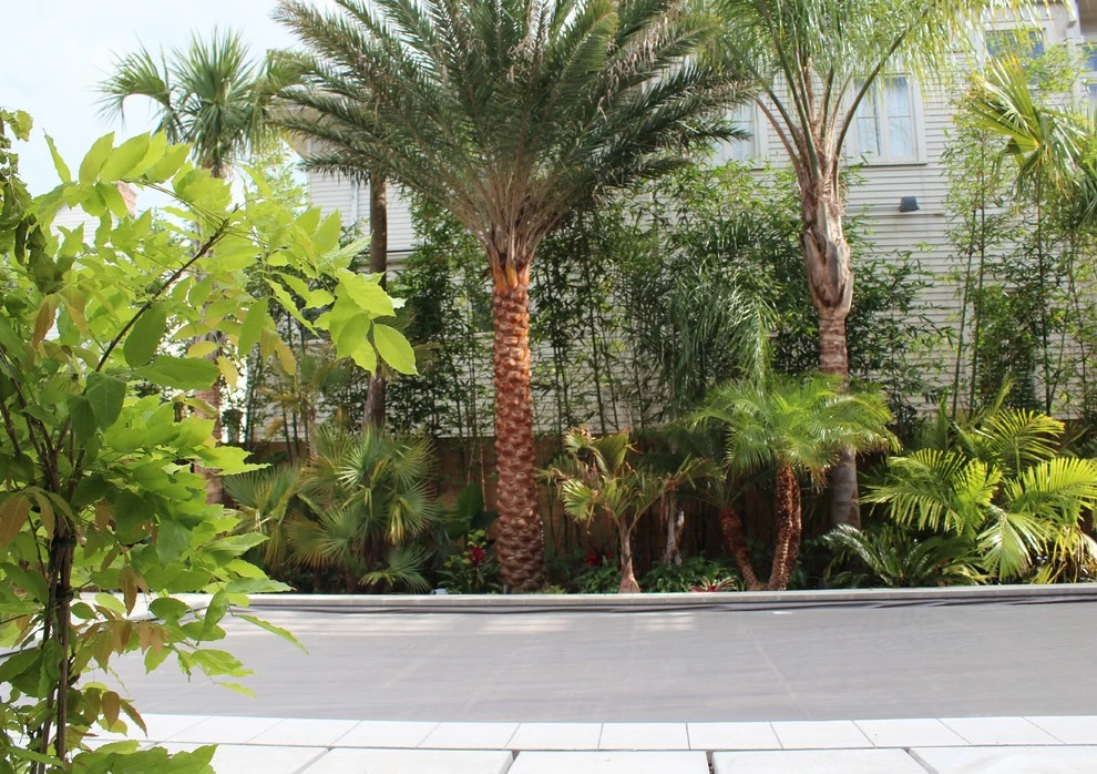 Uptown Tropical by EcoUrban Landscaping - Photo 10