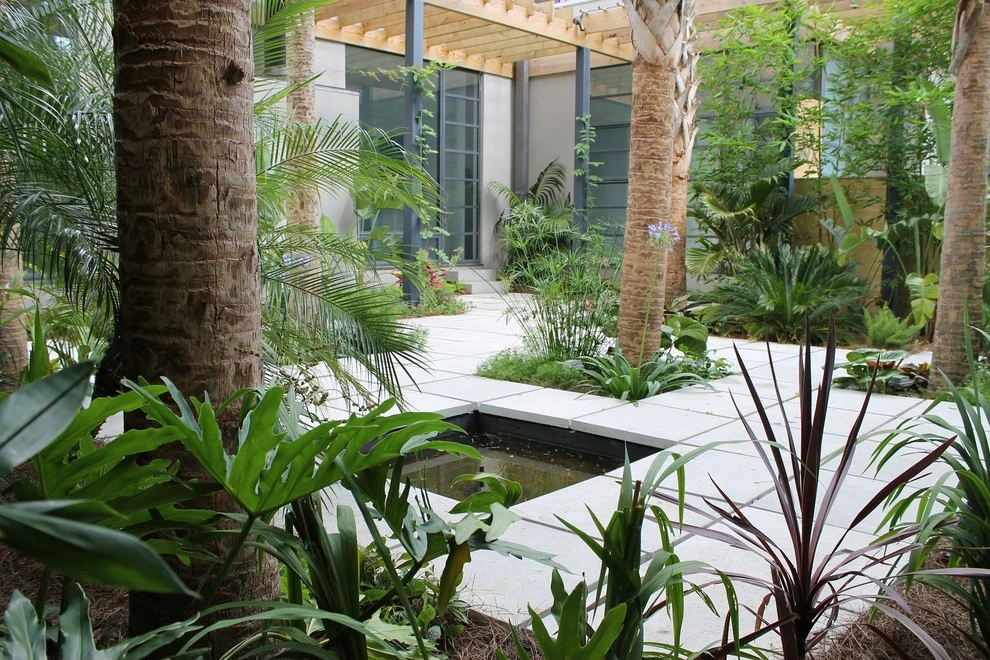 Uptown Tropical by EcoUrban Landscaping - Photo 13