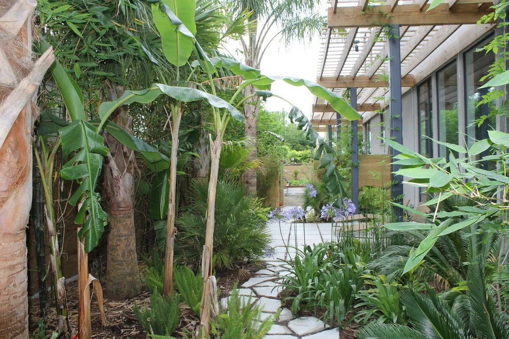 Uptown Tropical by EcoUrban Landscaping - Photo 9